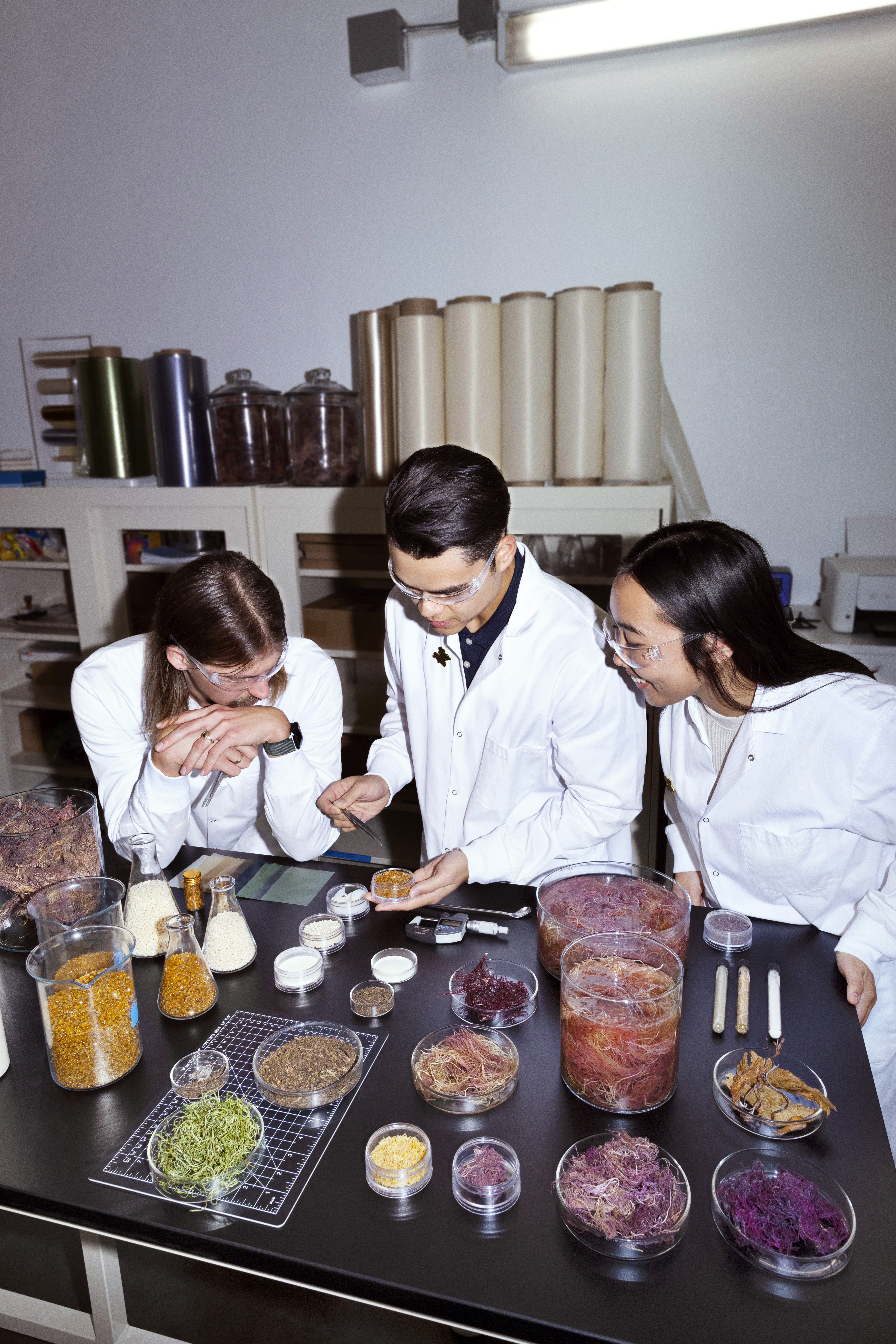 Sway materials team experimenting with various seaweed species. Credit: Snacktime.