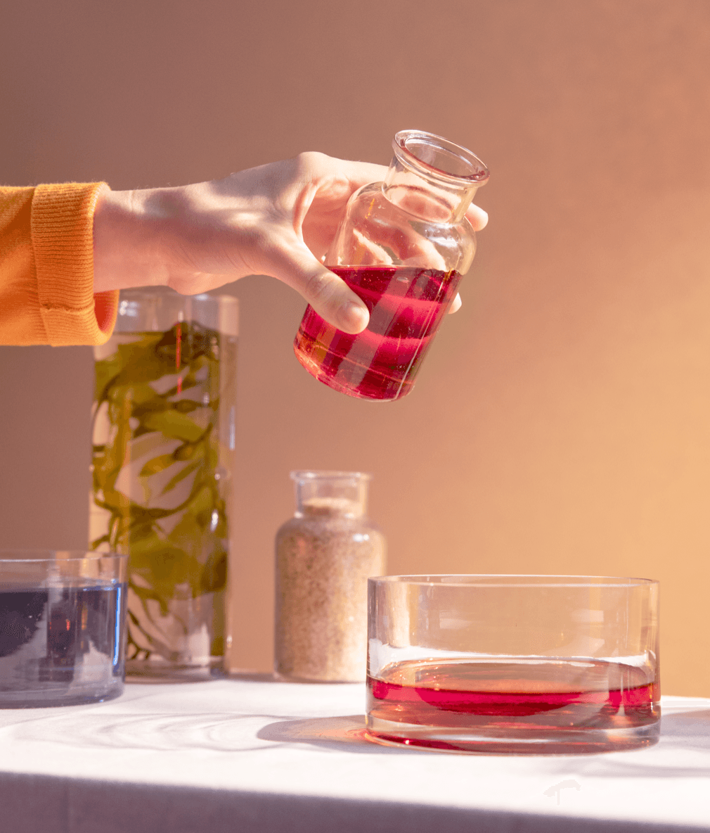 Seaweed experimentation. Credit: Sway.