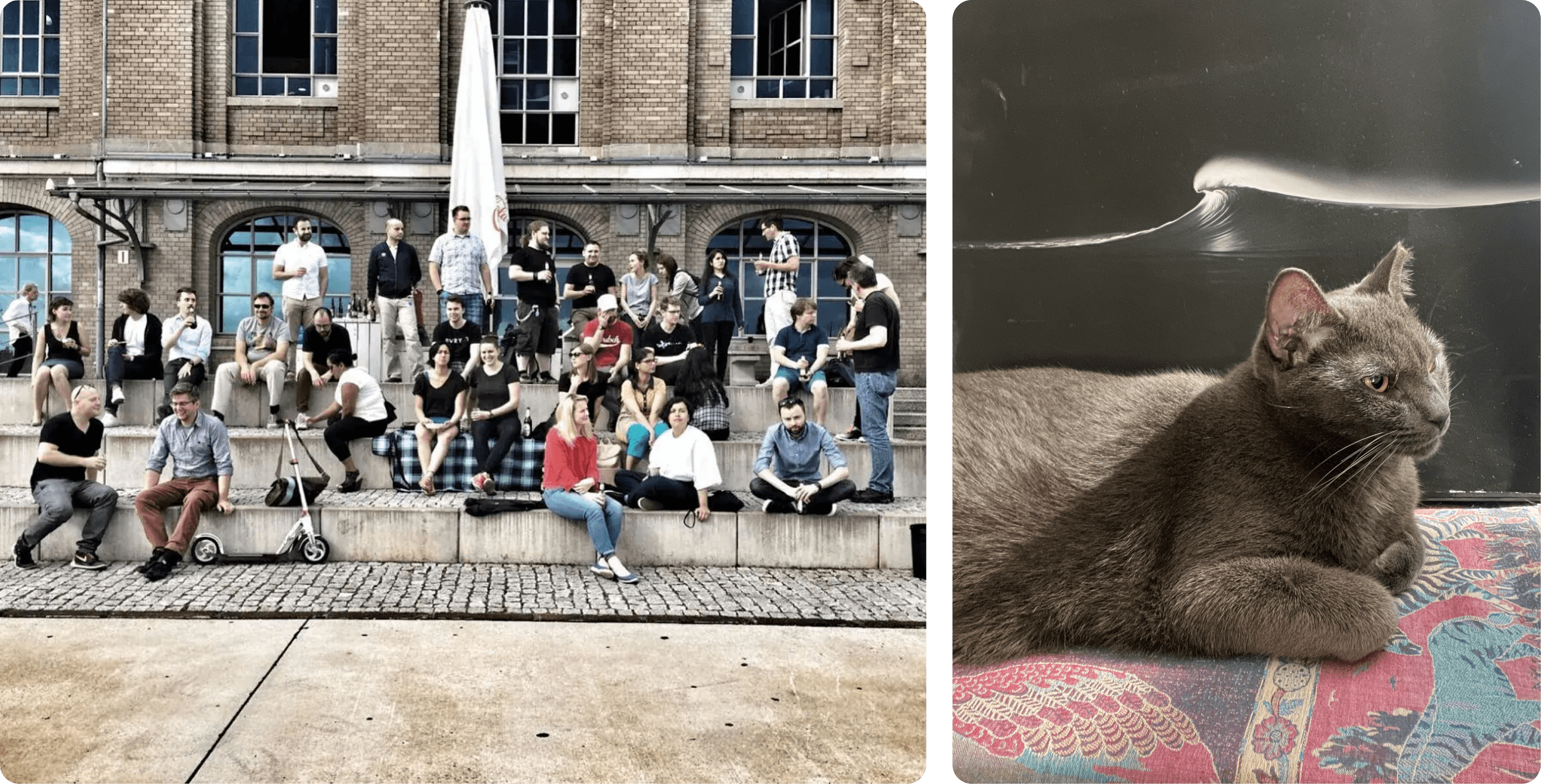 Left: Nina and her team at Pivotal Labs Berlin, where she helped scale the design practice alongside her leadership team. Right: Naoshima, Nina's beloved cat.